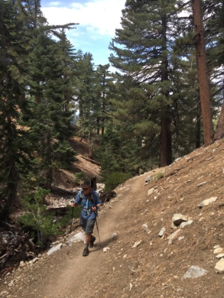 Almost to the saddle.