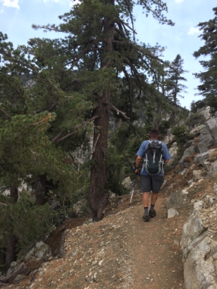 After a quick lunch at the saddle, we continue on towards Cucamonga Peak. The terrain gets more rugged and we don't see a single person.