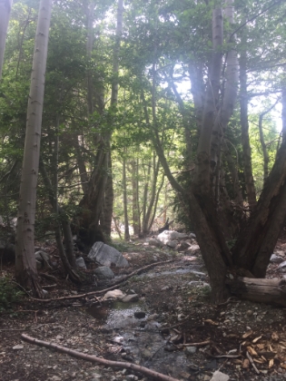 I have almost this exact shot from a few years ago in the snow. Always a great spot.