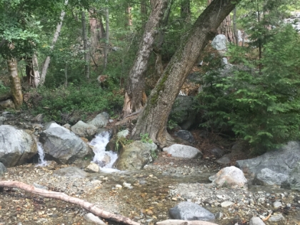 Still some decent water flow in the creek, probably with a little extra from the morning rain.