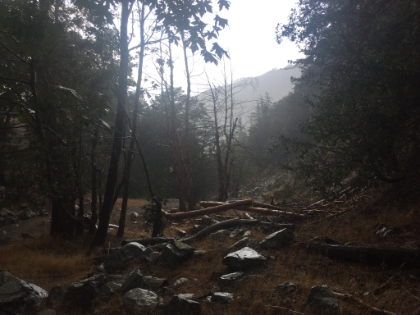And then just before getting back to the trailhead, the skies opened-up again. The mountain clearly didn't want us to forget how hard it had rained earlier, or how unprepared we were for it!