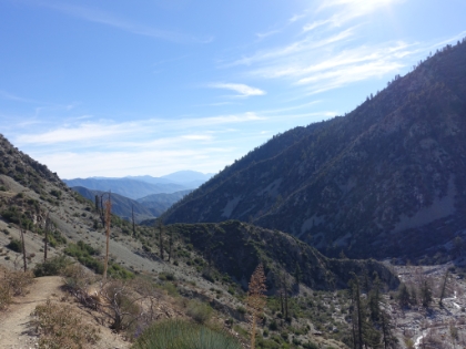 Looking back down the valley below the treeline.