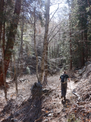 Great single track the entire way with interesting terrain and foliage.