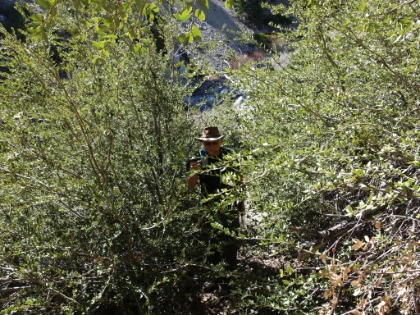 The trail was overgrown in places. Dad forgot to bring his loppers!