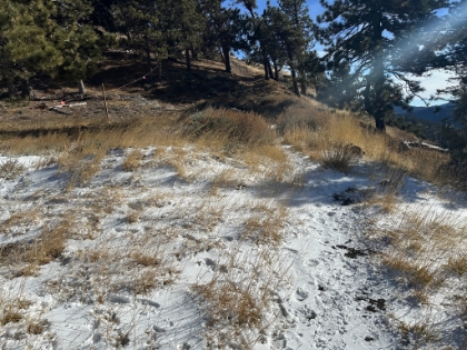 (man-made) snow on the trail.