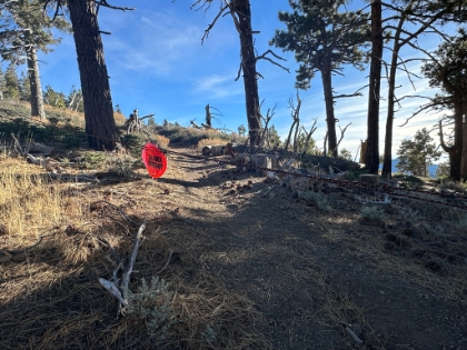 The PCT actually crosses ski runs in multiple places. They're not being used right now because of the dry winter, but I wonder what happens in a normal winter? I guess you have to dodge the snowboarders!