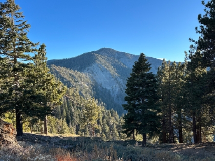 The ominous view of the ridge trail up Pine Mtn. If I had more time, I would have tried pressing on. But I had to get back to relieve the babysitter!