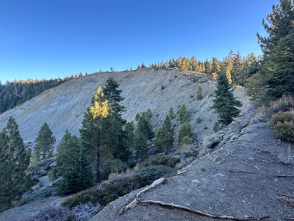 Went just a little further to the bowl.