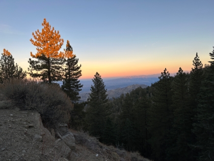 Heading back now as the sun is getting low.