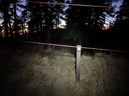 Back to the ski runs. Good thing the PCT signs are reflective, or it could be hard to follow the trail in the dark.