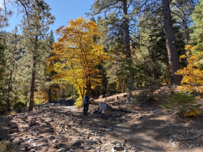 Nice Fall colors as we leave town on our way to the trailhead.