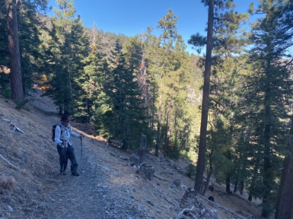 The Acorn trail is a couple miles of nice smooth forested trail.