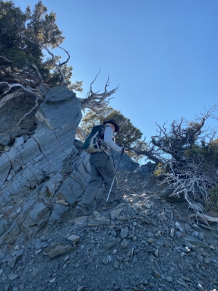 As rugged a trail as you'll find.