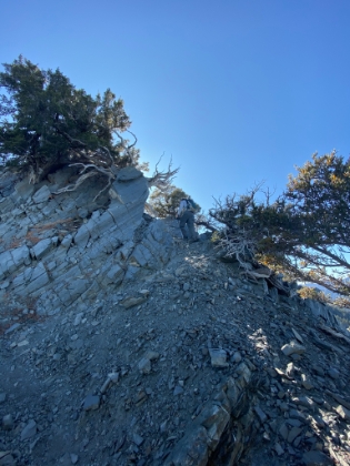 This shot gives you some sense of just how steep the trail is in places.