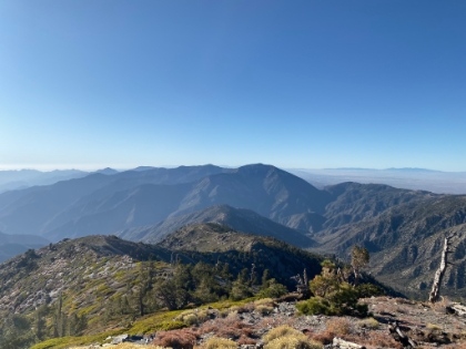 Looking out towards Mt. Baden-Powell.