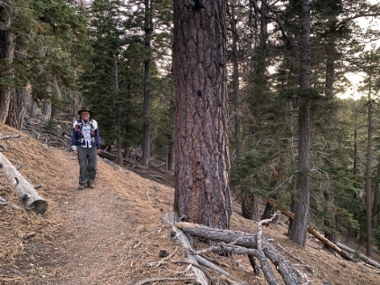 On the way back, we take the PCT rather than the fireroad. Now that I know how to get to the Backbone from the PCT, I'll never use the fireroad again!