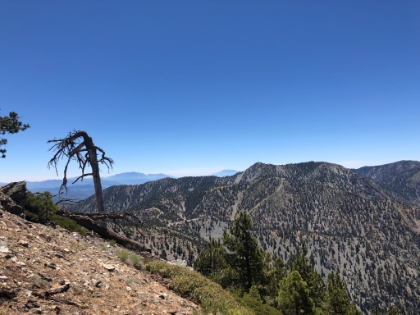 Top of Register Ridge. This route is about 1 mile shorter than Ski Hut, so I wanted to test if it would make sense to use for the 24hr 3 Peak Challenge. But doing the 2,600' 1.5 mile section in the dark probably isn't worth the 1 mile savings.