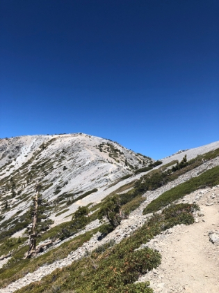 Last of the Backbone up to the top of Baldy.