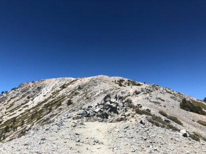 Last stretch to the top.