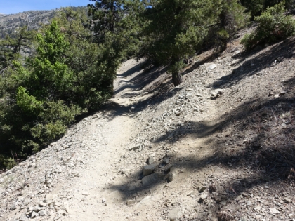 The start of the Register Ridge route branching off to the right. Years ago it was a word-of-mouth trail only marked by trail ducks. Today it's a well worn use trail easily followable the entire way. But it's still not on the maps and rarely more than a foot wide. It gets probably 0.1% of the traffic that the crowded routes get, and it's a heck of a lot more fun!