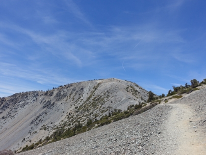 Made it to the intersection with the Devil's Backbone trail, which is the route the vast majority of people take up from the ski resort. The Register Ridge route is much, much steeper but cuts a few miles off the distance each way.