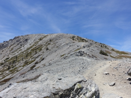 Last of the Backbone trail to the top.