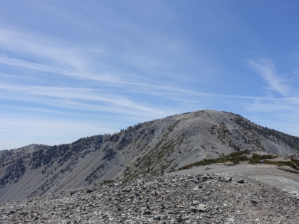 On the Mt. Harwood summit at 9,556' looking back up at Mt. Baldy.