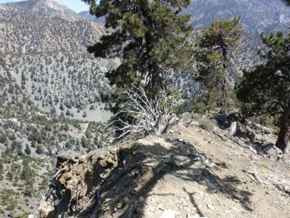 About as pointed as a ridge can get.