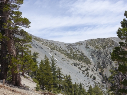Nice view of the bowl.
