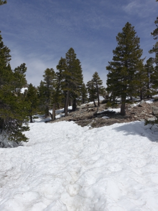 A few heavy patches of snow, but never enough to worry about putting on the Yaktrax.