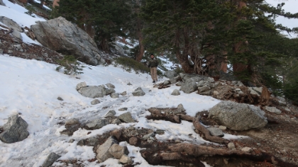 Dad stops at around 8,500', and I dash the rest of the way up to the ridge and then back down. Dad had taken a bit of a detour, but he's none the worse for wear, and we start heading down.