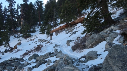 Almost back to the Ski Hut.