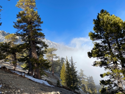It's an interesting mix of clear and clouds, dry and snow.