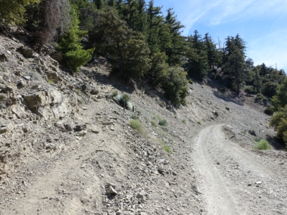 It's easy to miss the start of the Baldy Bowl (aka Ski Hut) trail if you're not looking for it.