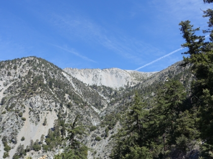 Great views of the bowl up the entire lower section of the trail.