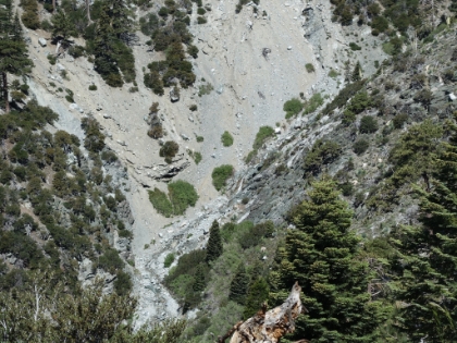 Looking down at some cascades further up the canyon. You can hear the roar of water the whole way up the canyon, which is a rare treat in the San Gabriels, especially in June of a dry year.