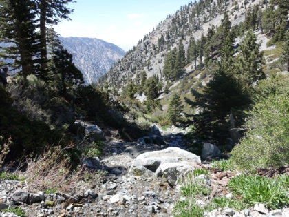 The stream that flows by the hut and feeds San Antonio Falls. It's nice to actually cross a stream in the San Gabriels, which has been a rarity the last few years.