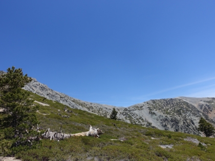 Almost up to the ridge. You can see the Backbone trail running just below the Mt. Hardwood summit on the right and then continuing along the ridge. A couple of people died in that area on an icy day last winter.