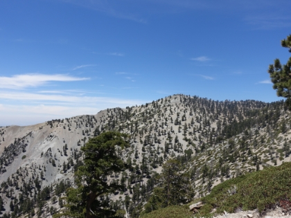 On the other side of the ridge, you can see West Baldy.