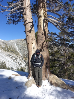 What a deceiving picture. Looks like a nice sunny day! It's actually subzero temps with 30+ mph winds. Dad is taking shelter from the wind behind a tree.