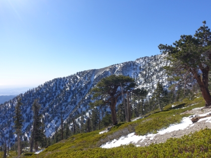And towards the ridge leading up to West Baldy. This was my turnaround point at exactly 1:00pm. Absolutely had to be back home by 6:00pm today!