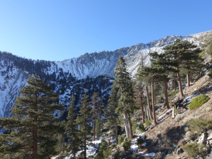A look back up the bowl in the afternoon light.