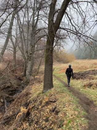 Palomar Mountain State Park