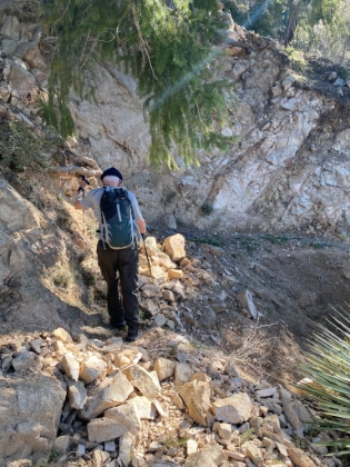 I was afraid the trail down the other side might have been overly maintained since I was here last. Fortuntely, that wasn't the case. There's still plenty of overgrowth, treefall, and washed out trail.