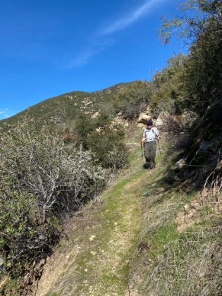 Fresh green grass on the trail means there haven't been too many people down here in a while.