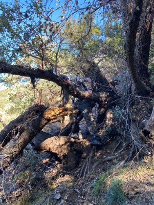 Heavy treefall in places made for some tricky manuevering.