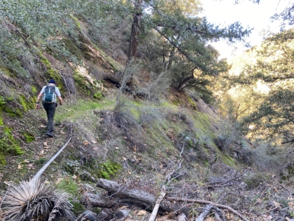 Singletrack doesn't get much better than this.
