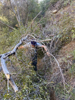 Even I would admit this trail needs a little maintenance. But just a little!