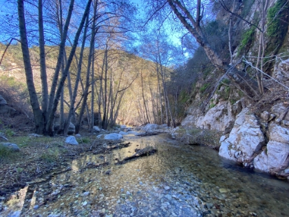 There's a fair amount of water flowing today.