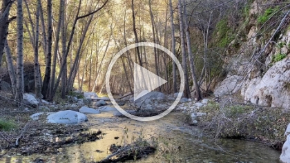 And a quick video of the creek.